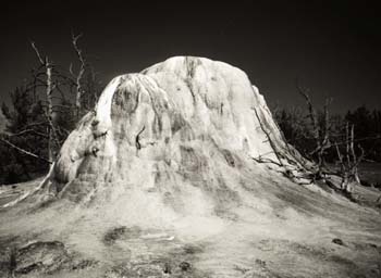 Orange Springs Mound